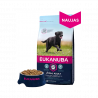 Eukanuba Large Adult (kana) 15kg|Eukanuba