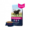 Eukanuba Large Mature (kurczak) 15kg|Eukanuba