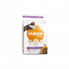 IAMS Kitten (kana) 10kg|IAMS