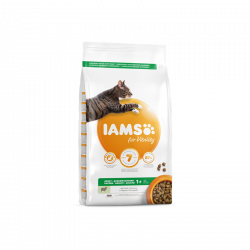 IAMS Adult Cat (jagnięcina) 10kg