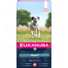 Eukanuba L/XL karma pełnoporcjowa dla dorosłych psów z łososiem i jęczmieniem, 12 kg|Eukanuba