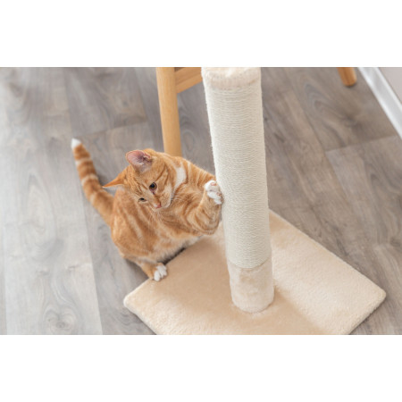 TRIXIE Batres draskyklė stulpas katėms , 62 cm, smėlio sp.|Trixie