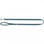TRIXIE Premium antkaklis XS-S 22-35 cm/10 mm, petrol žalsvas|Trixie