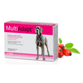 Vitaminai ir papildai šunims