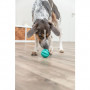 TRIXIE Denta Fun Ball, piparmētru, dabiskā gumija, ø 5 cm|Trixie