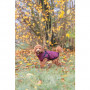 Trixie Pirou žieminė striukė su petnešom, S: 40 cm, bordo|Trixie