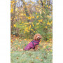 Trixie Pirou žieminė striukė su petnešom, S: 40 cm, bordo|Trixie