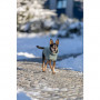 TRIXIE CityStyle Berlin megztinis su vilna , XS: 27 cm, žalsvas|Trixie
