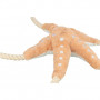 1.8_36046 TRIXIE BE NORDIC Jūrų žvaigždė Jane, pliušas/virvė, 32 cm (pak.2)|Trixie