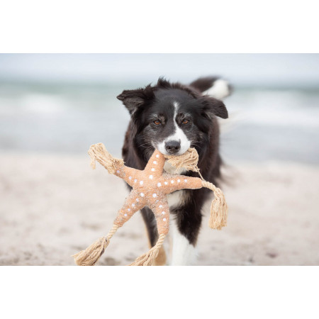 1.8_36046 TRIXIE BE NORDIC Jūrų žvaigždė Jane, pliušas/virvė, 32 cm (pak.2)|Trixie