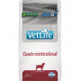 FARMINA VET LIFE - DOG Dry GASTROINTESTINAL 2 kg|Farmina