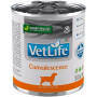 FARMINA VET LIFE - DOG Wet CONVALESCENCE 300 gr|Farmina